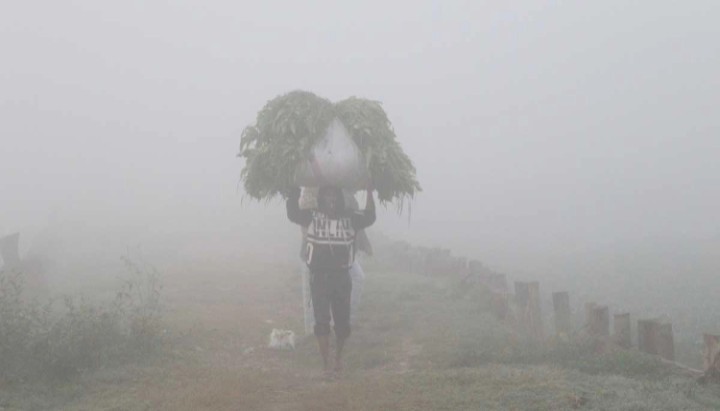 বাড়তে পারে শীত